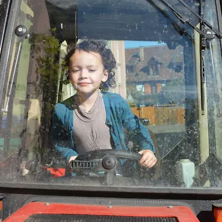 Chez Cecile Chez Le Vigneron Nocleg ze śniadaniem Colmar