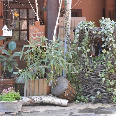 Chez Cecile Chez Le Vigneron 3* كولمار