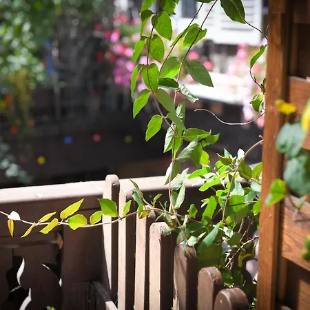 Chez Cecile Chez Le Vigneron 3*