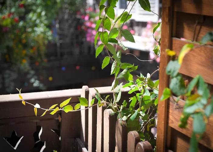 Chez Cecile Chez Le Vigneron 3*